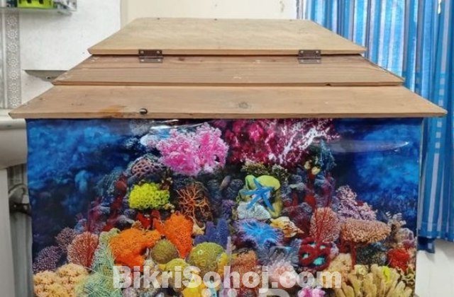 অ্যাকোয়ারিয়াম/Aquarium